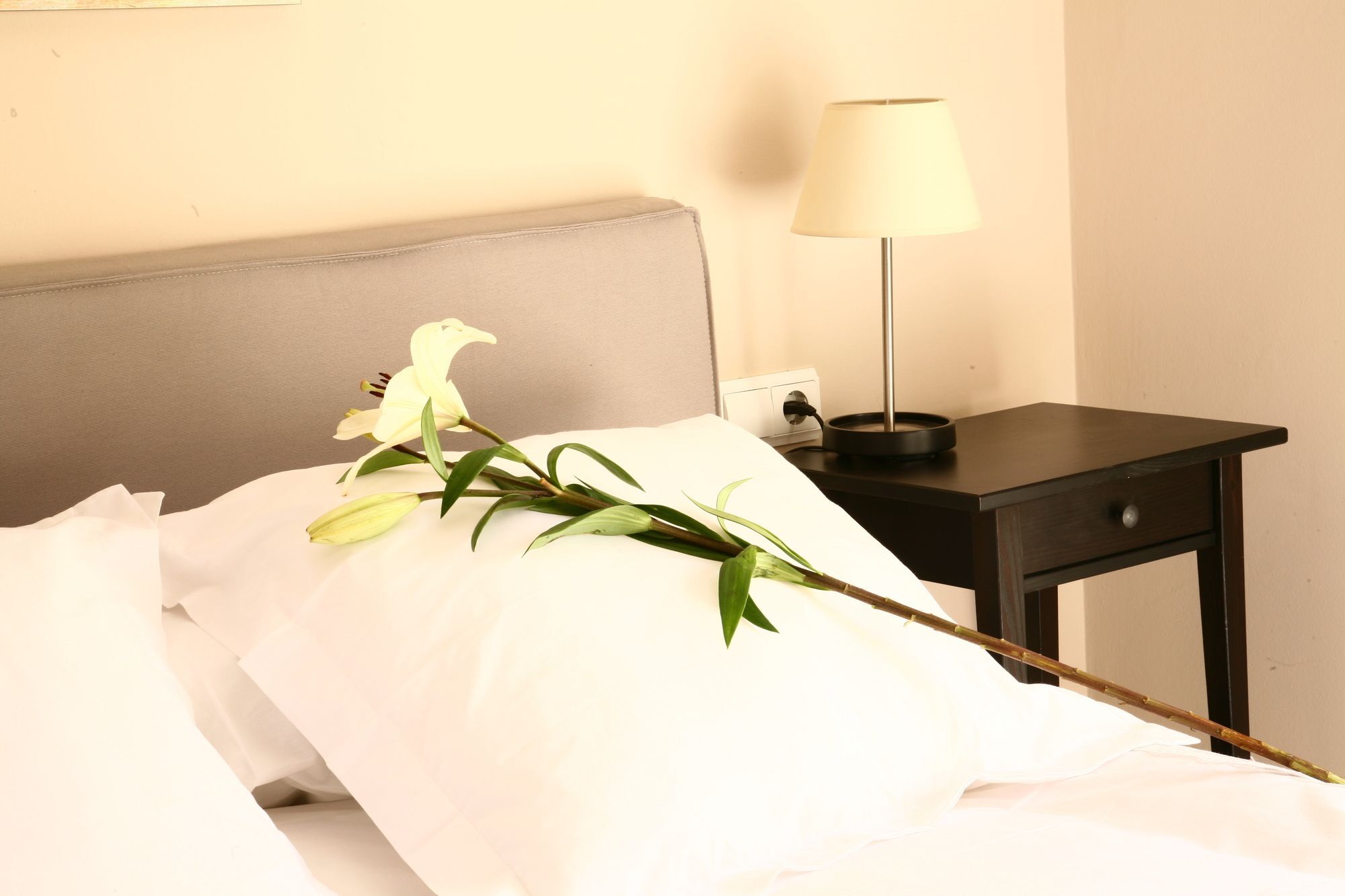 Apartament Amparo Cinco Kordoba Zewnętrze zdjęcie