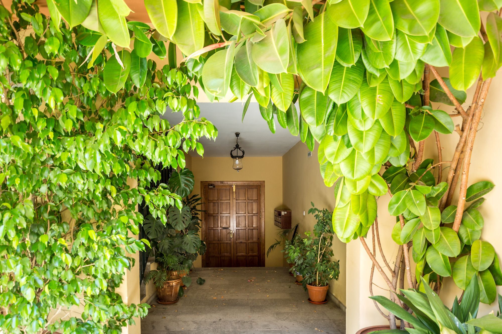 Apartament Amparo Cinco Kordoba Zewnętrze zdjęcie