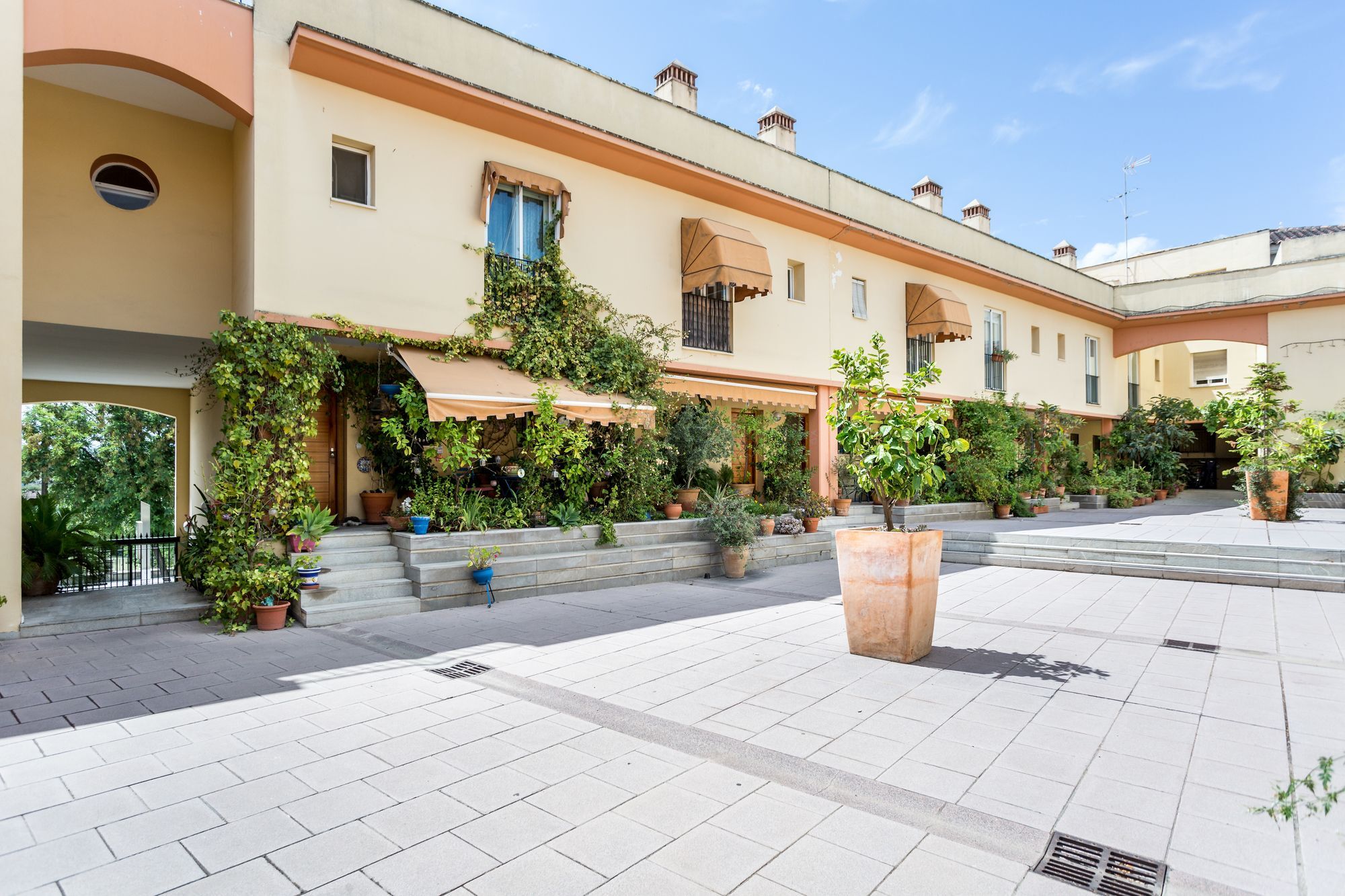 Apartament Amparo Cinco Kordoba Zewnętrze zdjęcie